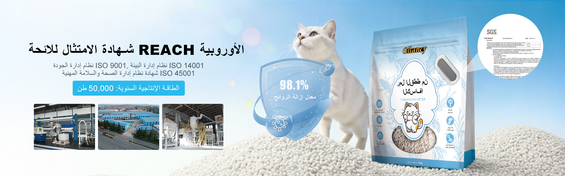 جيلانسي رمل قطط من الكسافا