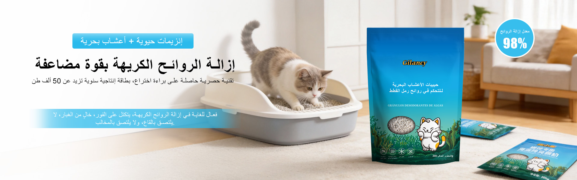 جيلانسي رمل قطط من الكسافا