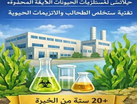 مصادر روائح رمل القطط وكيفية إزالة الرو مصادر روائح رمل القطط وكيفية إزالة الرو