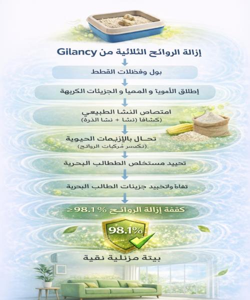 أفضل رمل قطط لإزالة الروائح 2026 | رمل قطط Gilancy النباتي عالي الأداء أفضل رمل قطط لإزالة الروائح 2026 | رمل قطط Gilancy النباتي عالي الأداء