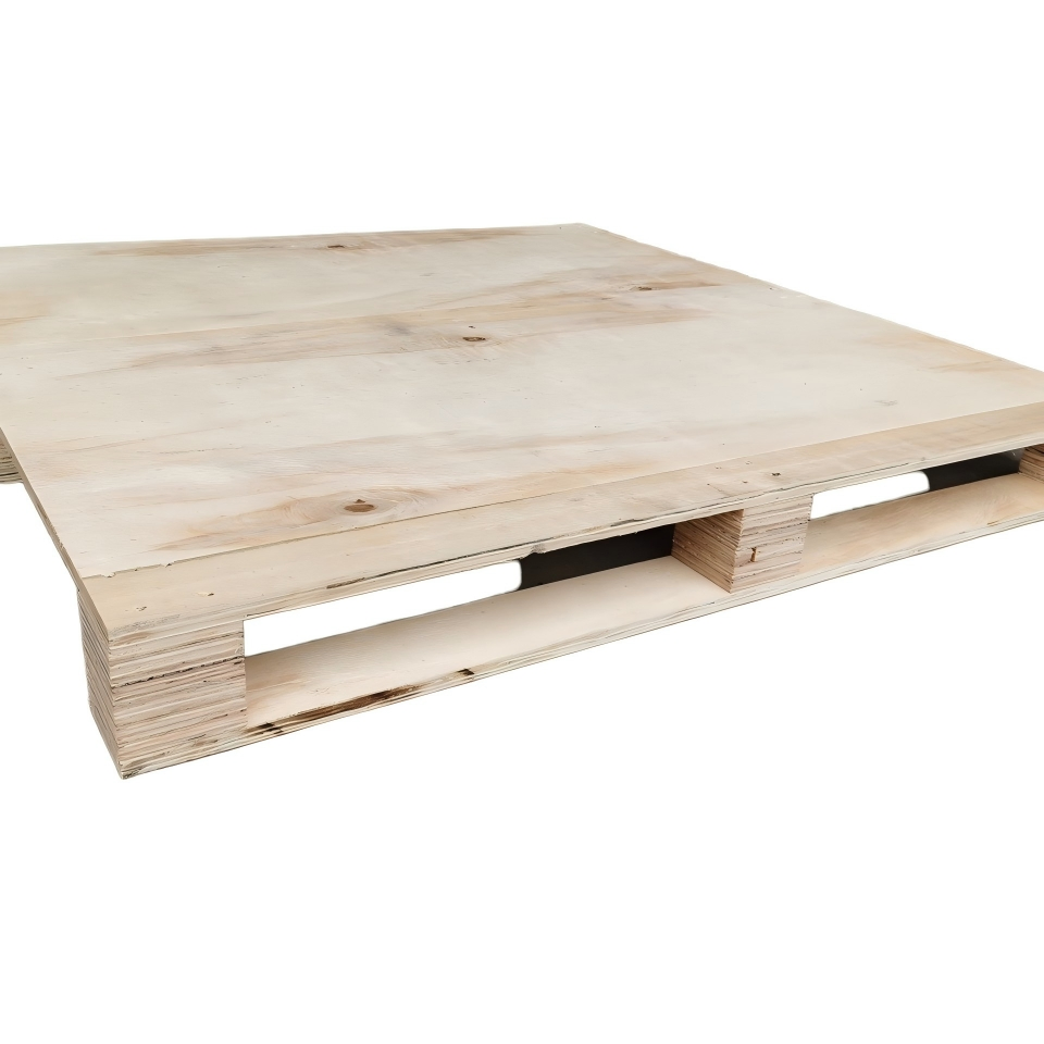  أفضل منصة تحميل اقتصادية لشحن وتصدير رمل القطط دولياً