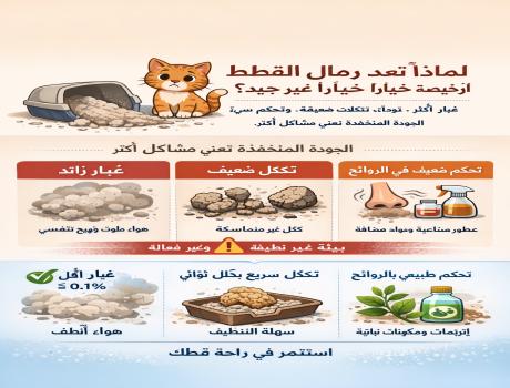 لماذا تُعد رمال القطط الرخيصة خيارًا غير جيد؟