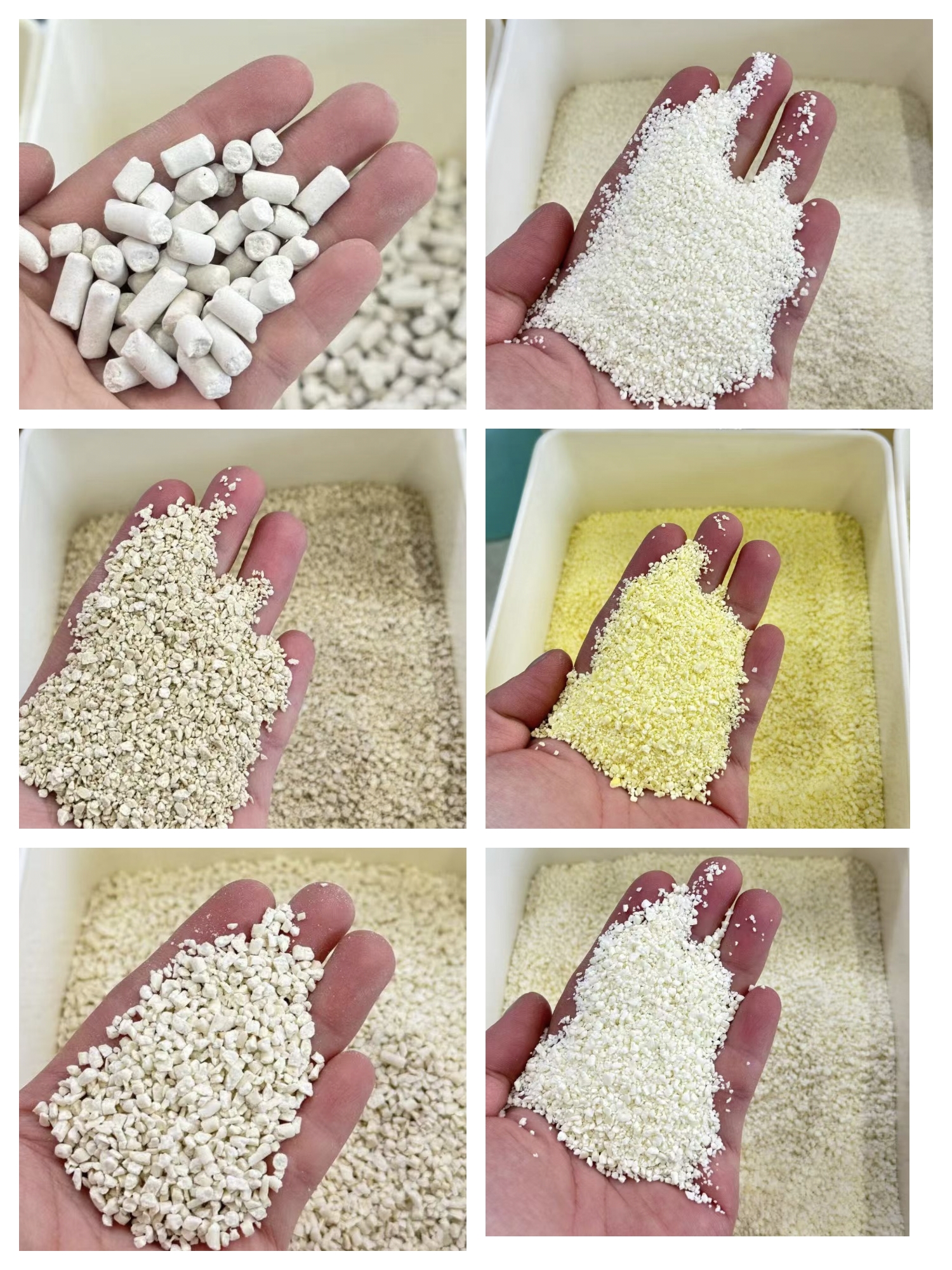 نشارك في معرض بكين للحيوانات الأليفة ٢٠٢٦ – يسعدنا زيارتكم!