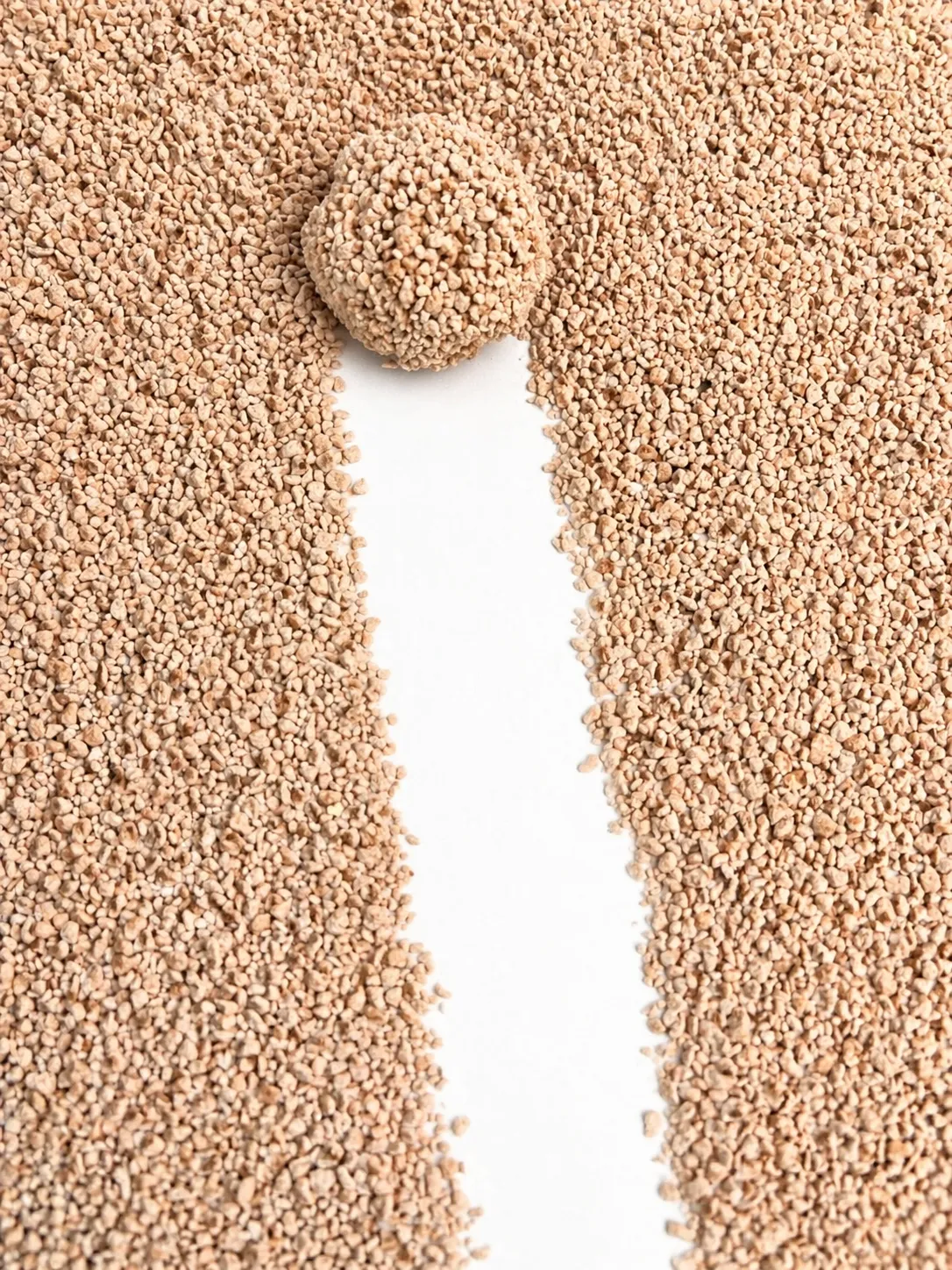 رمل قطط زيويليت